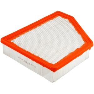 Fram CA10690 Air Filter