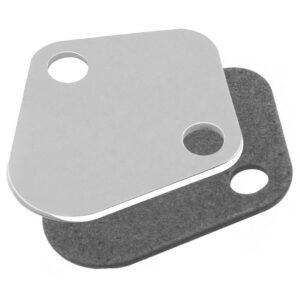 Chrome Fuel Pump Block Off Plate With Gasket - Big Block Chevy