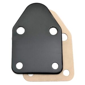 Black Fuel Pump Block Off Plate With Gasket - SB Small Block Chevy