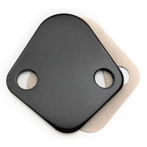 Black Fuel Pump Block Off Plate With Gasket - Big Block Chevy