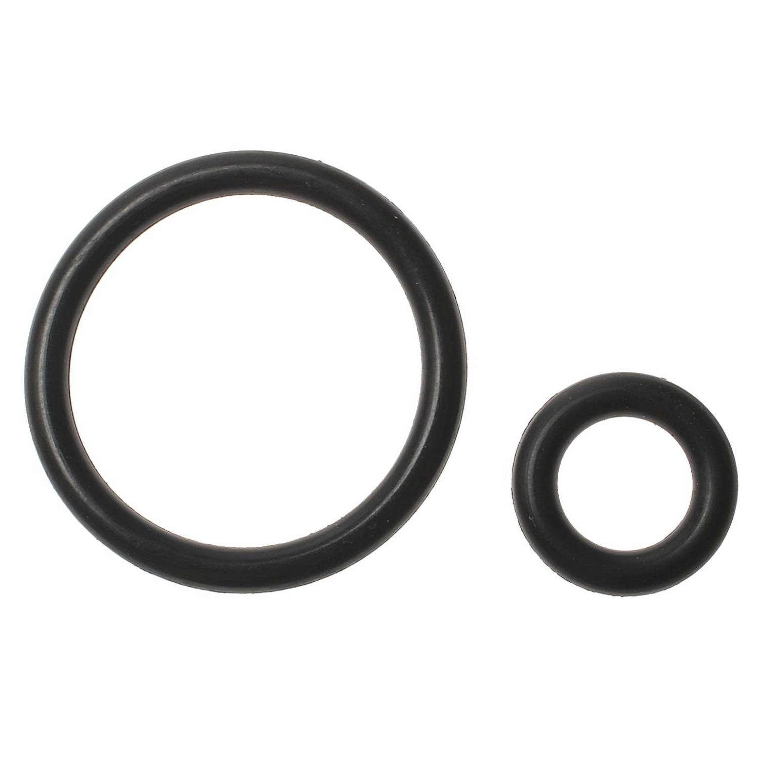 Standard SK6 Fuel Injection Fuel Rail O-Ring Kit