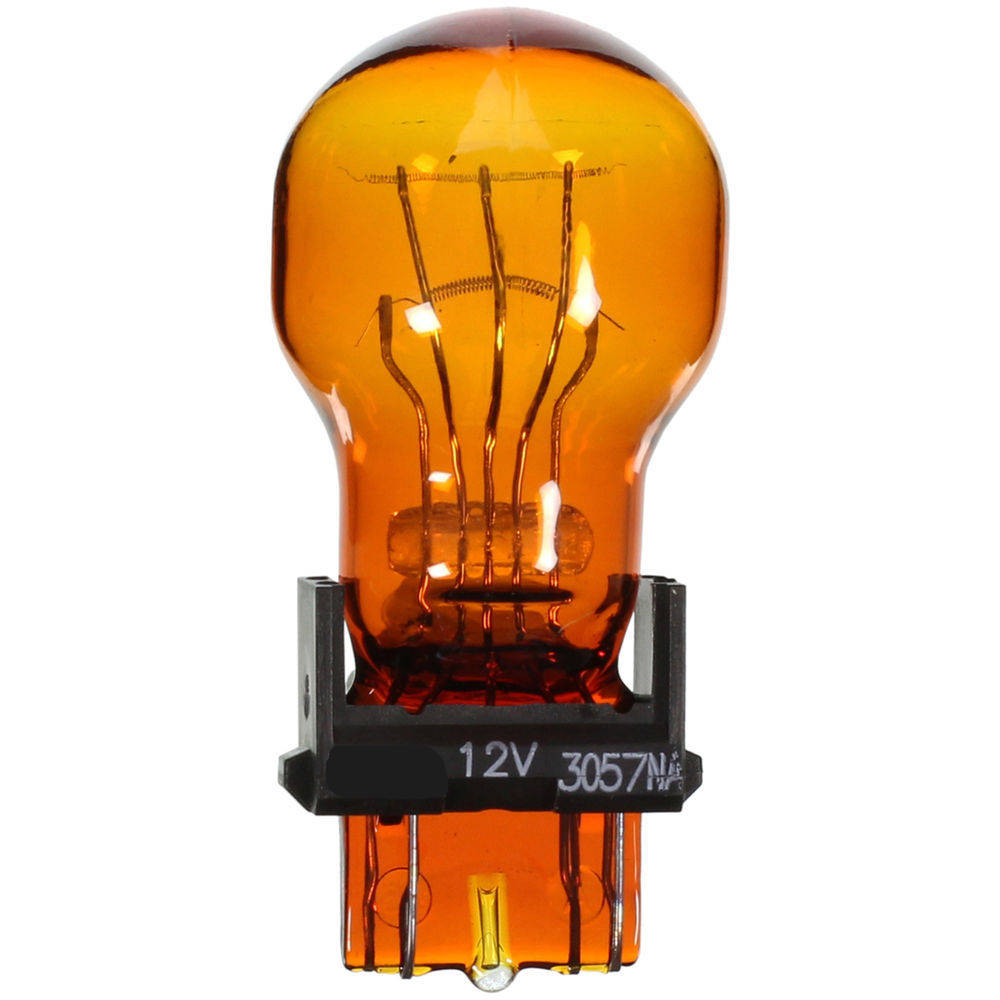 12 Volt Turn Signal Lamp Bulb for 1991-1996 Chevrolet Caprice & 1989-1991 Dodge Spirit